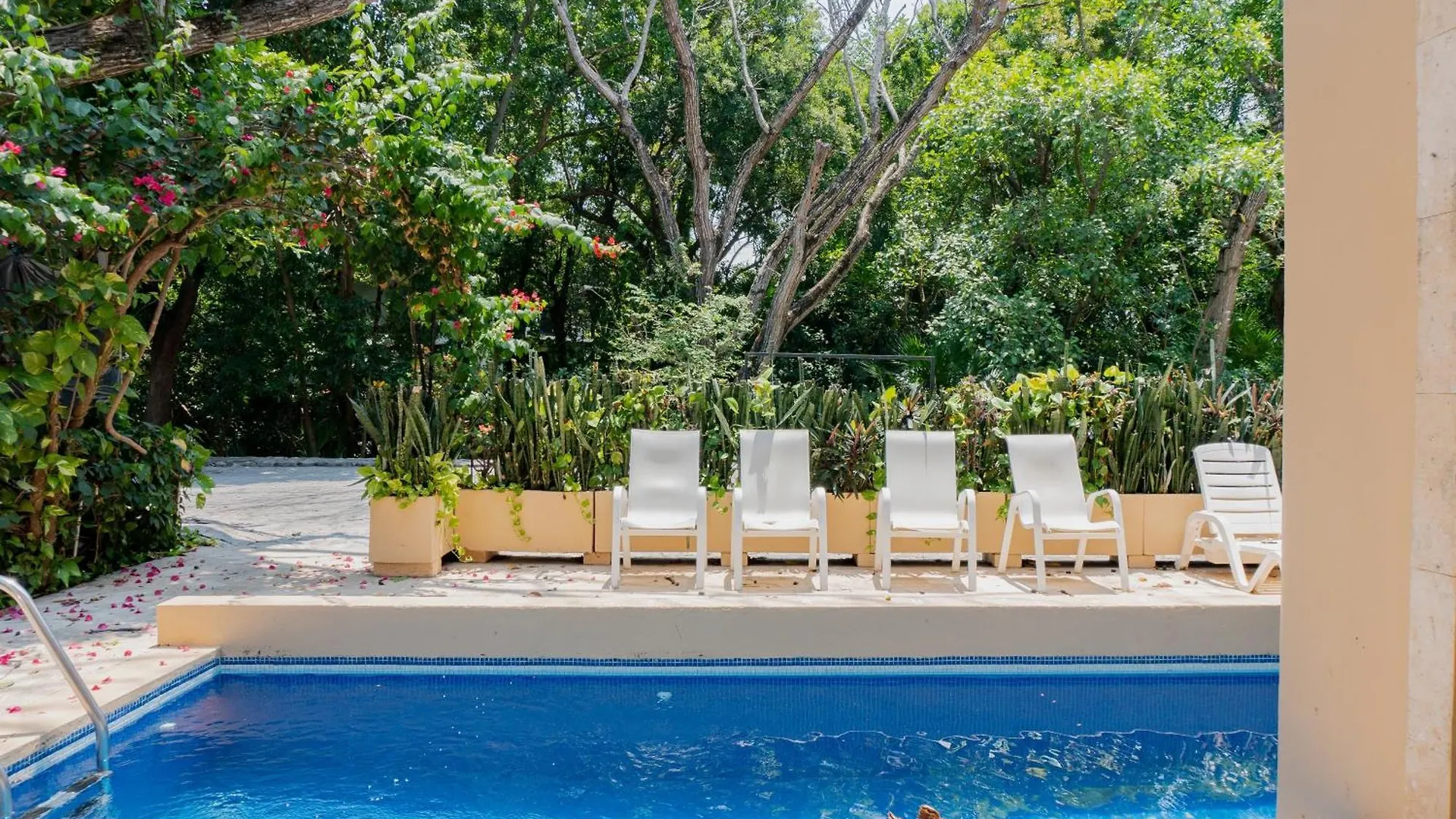 Casa Quetzali Home Playa del Carmen Mexico